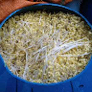 Meet your Posher, Elise